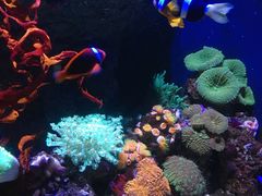 -成都浩海立方海洋公园