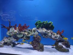 -海合安武汉极地海洋公园