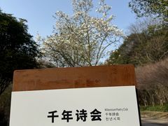 -黄公望隐居地