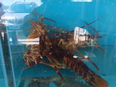 -港畔赶海蒸汽海鲜烧烤自助(仙螺岛店)