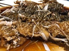 罾蹦鲤鱼-津菜典藏河西店(水上店)
