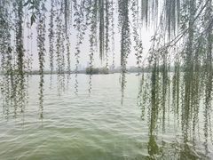 -济南大明湖景区