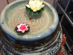 -禾珍珠家常小馆(河南博物院店)