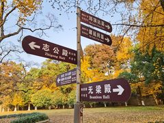 -灵谷景区