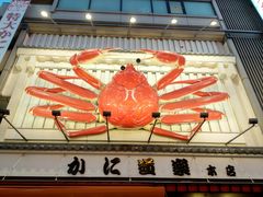 -蟹道乐(道顿堀本店)