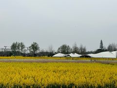 -中国天府农业博览园