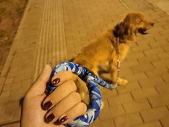 -海底捞火锅(振华广场生日主题店)