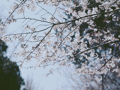 -新太二·鲜料川菜(群光广场店)
