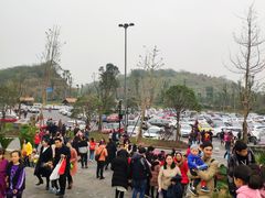 -枫香湖儿童公园