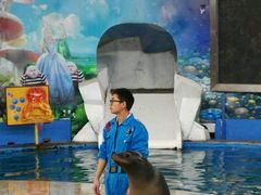 -多彩贵州城极地海洋世界