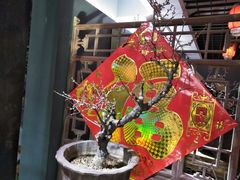 -石家庄市植物园