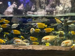 -南昌融创海世界