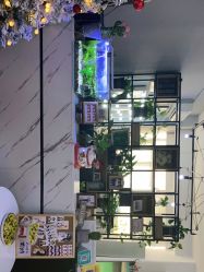 -橘子·彩虹摄影(世纪大道店)