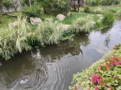 -上海野生动物园