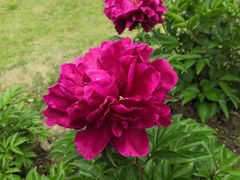 -合肥三国新城遗址公园