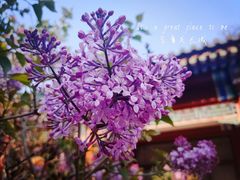 -居庸关长城