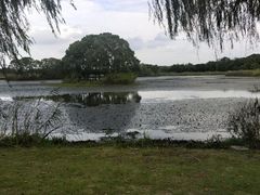 -梁鸿国家湿地公园