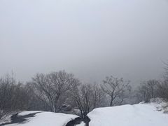 -北京凤凰岭