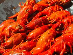 -沪小胖小龙虾(淮海中路旗舰店)