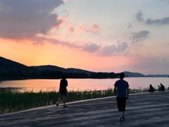 -长广溪湿地公园