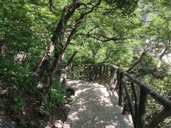 -尧山风景区