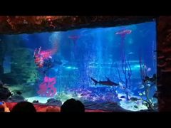 -沈阳海洋探索中心