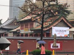 -天龙宝严素食馆(大兴善寺店)
