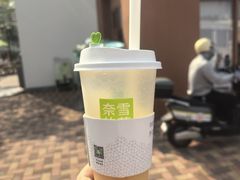 -奈雪的茶(大梅沙8号仓店)
