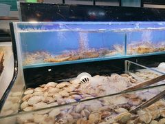 -苏格里岛·自助烤肉·火锅海鲜(金鼎广场店)