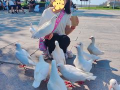 -天津妈祖文化园