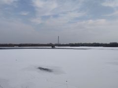 -大兴滨河森林公园