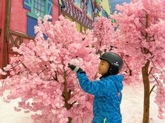 -广州热雪奇迹