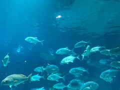-福州罗源湾海洋世界旅游区