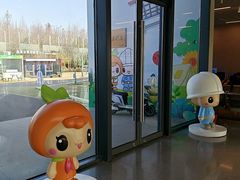 -上海长兴岛郊野公园