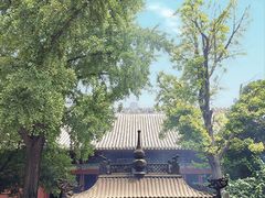 -洛阳白马寺