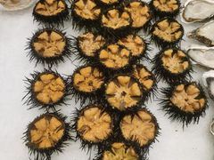 -双合园·海鲜水饺青岛菜(九水东路店)