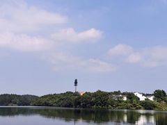 -大塘金香草谷