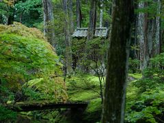 -西芳寺(苔寺)