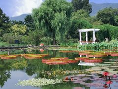-国家植物园南园