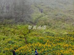 -灵山