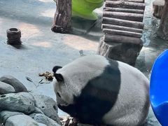 -青藏高原野生动物园