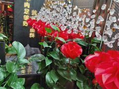 -百草滩羊清水涮羊肉·清真·宁夏盐池滩羊(莲花桥店)
