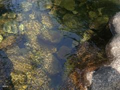 -崂山九水游览区