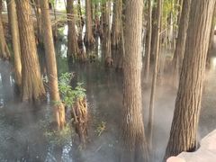 -东湖落雁景区