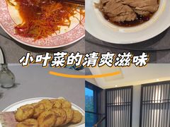 -俏陵轩·南京本土菜(奥体博览中心店)