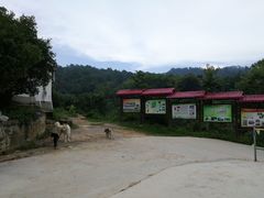 -王家小院