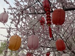 -三里河公园