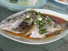 -七鲜渔港美食餐厅(巽寮湾海景店)