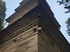 -兴教寺