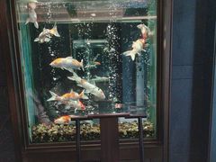 -浩运·海鲜青岛菜·海胆水饺(石老人店)